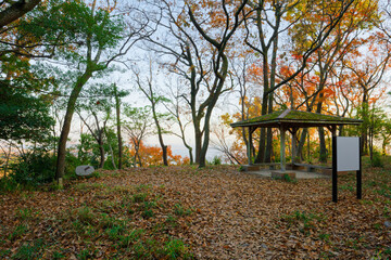 城山の休憩スポット