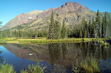 Fototapeta premium Mountain and trees reflected in a lake, Glacier National Park, Montana USA 
