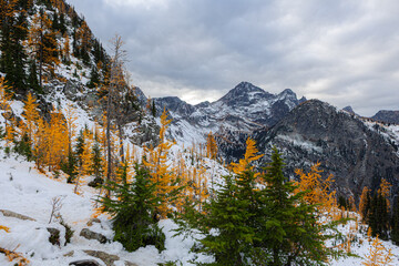 Obraz premium Maple Pass Loop Located in the Okanogan–Wenatchee National Forest of Washington,