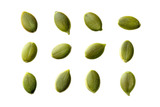 Collection of green pumpkin seeds isolated on transparent background. Row of twelve green pumpkin seeds arranged artistically isolated on white background. - Powered by Adobe