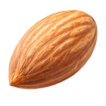 A single fresh Marcona almond