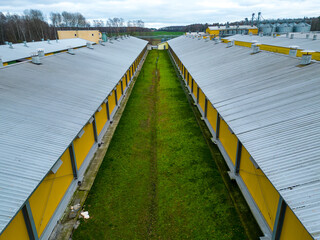 Modern agro-industrial complex top view. Flying a drone over a large chicken farm, raising broiler chickens for meat. Rows of chicken coops and silver grain silos. © Pokoman