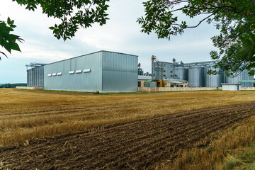 A large modern plant located near a wheat field for the storage and processing of grain crops. view of the granary illuminated by the light of the setting sun against the blue sky. harvest season.