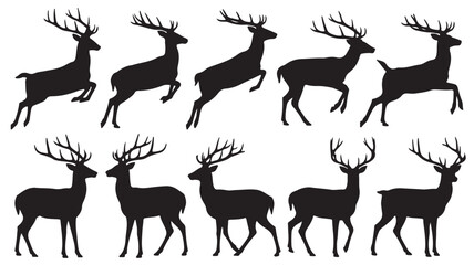 Deer Silhouettes in Various Poses with Antlers in Black on White Background for Wildlife Illustration