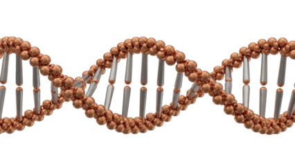 Copper and silver DNA molecule isolated PNG, double helix structure for science and medical research on transparent background
