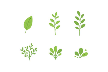 Minimalist greenery set: simple flat leaf and plant designs