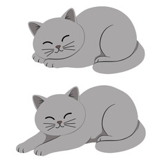 Funny Gray British Shorthair Cat Sitting on Hind Legs, Cute Vector Illustration for Children's Books, Stickers, and T-shirt Prints. Sleeping and Stretching Cats © Tais