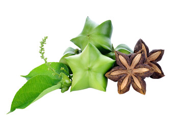 Sacha Inchi on white background, fresh capsule seeds fruit of sacha-Inchi peanut transparent png