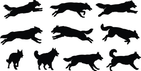 Set of Black Dog Silhouettes Featuring Different Breeds Running Jumping and Standing Positions for Animal Lovers and Pet Graphic Design