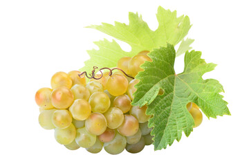 Bunch of green grapes isolated