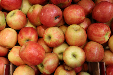 Overhead View of a Large Pile of Fresh, Ripe Red and Yellow-Green Apples in a Cardboard Box at a Farmers Market or Grocery Store