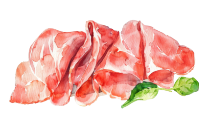 Slices of ham watercolor isolated on white background