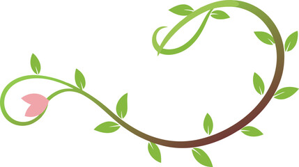 Elegant vine with single flower © Orpita