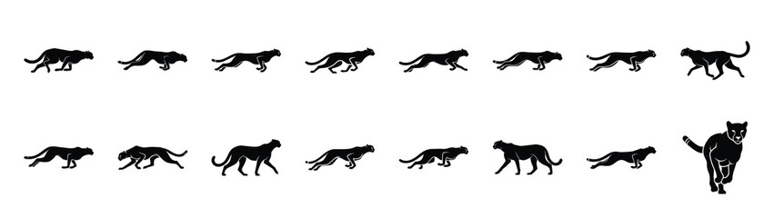 cheetah icons collection. Animal icon set. Isolated on White background