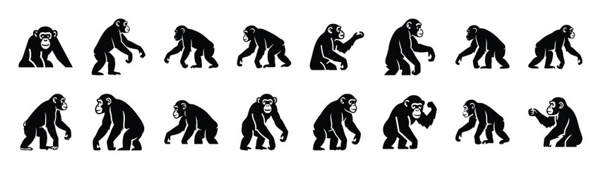 Obraz premium chimpanzee icons collection. Animal icon set. Isolated on White background