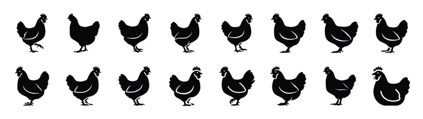 Fototapeta premium chicken icons collection. Animal icon set. Isolated on White background