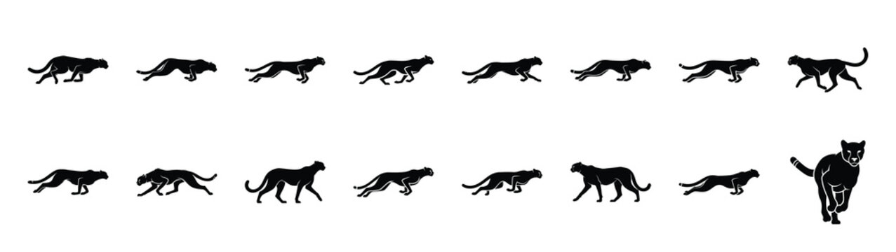 cheetah icons collection. Animal icon set. Isolated on White background