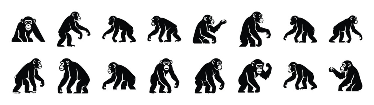 chimpanzee icons collection. Animal icon set. Isolated on White background