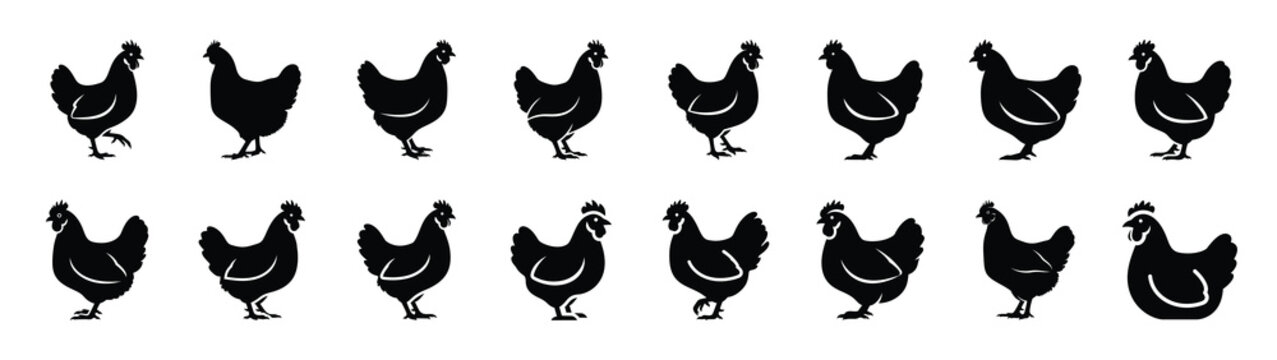 chicken icons collection. Animal icon set. Isolated on White background
