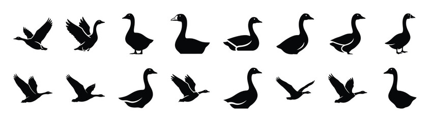 goose icons collection. Animal icon set. Isolated on White background © Gajendro