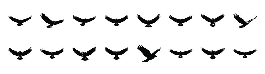 Fototapeta premium hawk icons collection. Animal icon set. Isolated on White background