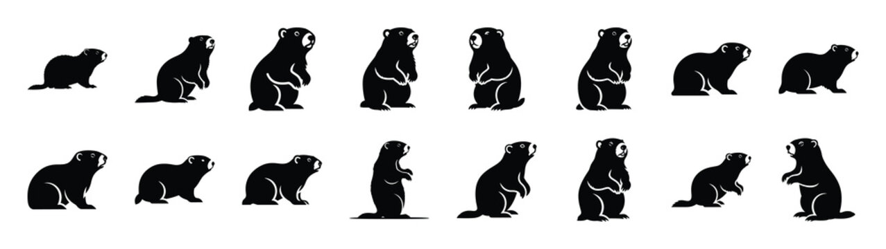 groundhog icons collection. Animal icon set. Isolated on White background