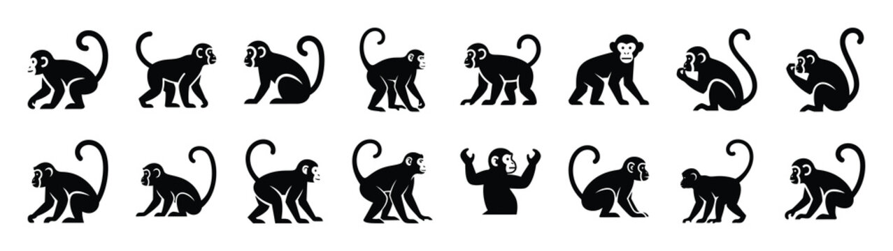 monkey icons collection. Animal icon set. Isolated on White background