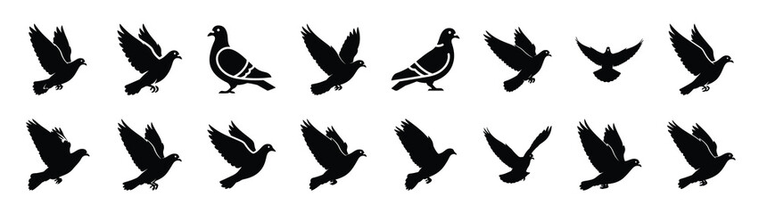 pigeon icons collection. Animal icon set. Isolated on White background