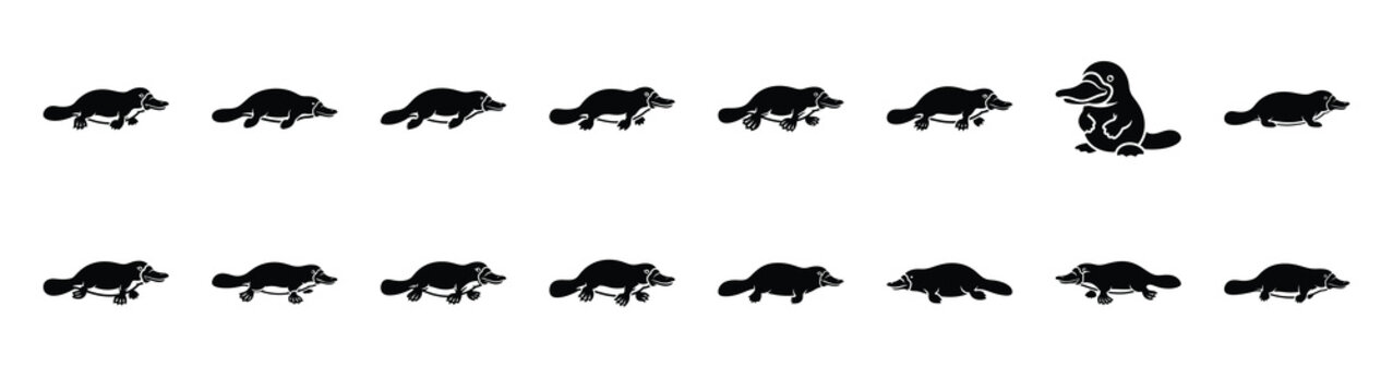 platypus icons collection. Animal icon set. Isolated on White background