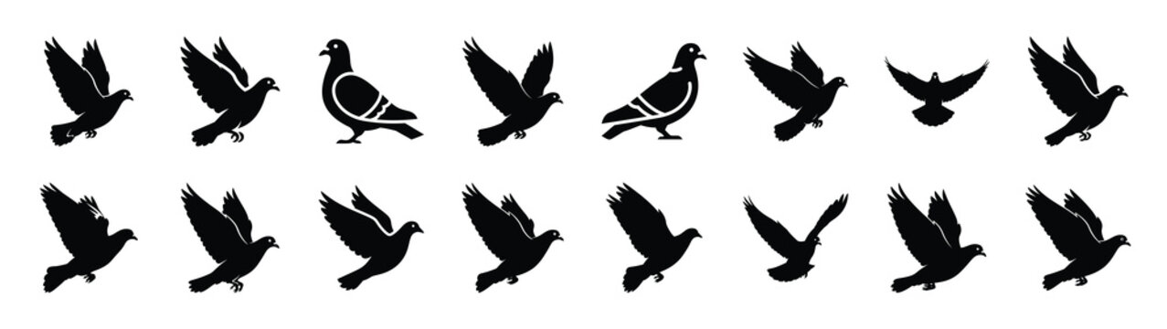 pigeon icons collection. Animal icon set. Isolated on White background