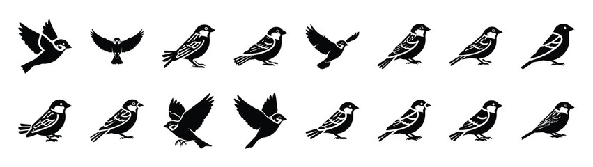 sparrow icons collection. Animal icon set. Isolated on White background
