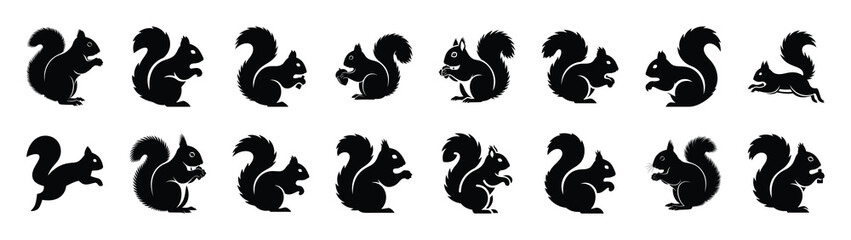Fototapeta premium squirrel icons collection. Animal icon set. Isolated on White background
