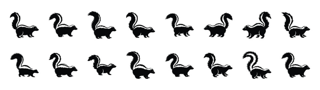 skunk icons collection. Animal icon set. Isolated on White background