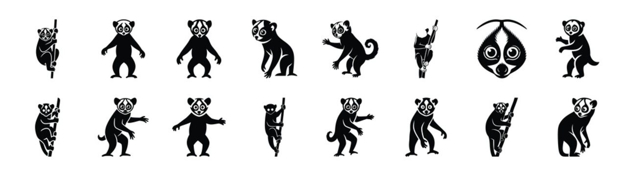 slender loris icons collection. Animal icon set. Isolated on White background