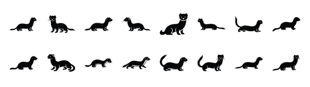 weasel icons collection. Animal icon set. Isolated on White background