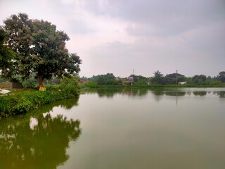 Serenity of a Village Pond, Calm Reflections in Rural Nature