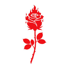 red rose isolated on white