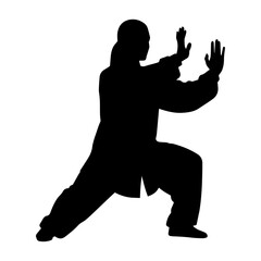 Silhouette of person performing martial arts stance.