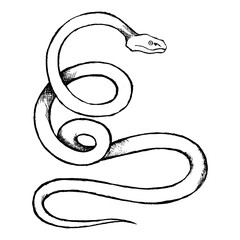 Line drawing of a snake, pit viper type, in black ink  on white background