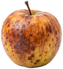 Heavily speckled and bruised reddish-brown brand with a short, woody stem is presented in a close-up view, showcasing its decaying texture and natural, isolated on transparent background.