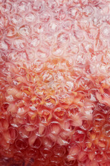 Peach Chrysanthemum Bouquet Through Bubble Wrap Close-Up