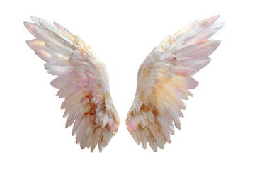 Pair of ethereal white wings featuring iridescent pink and gold feathers, perfect for fantasy and spiritual concepts. isolated on transparent background