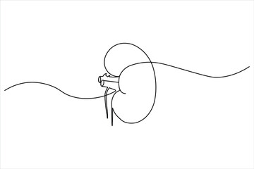 Obraz premium Modern medical icon of the human excretory system