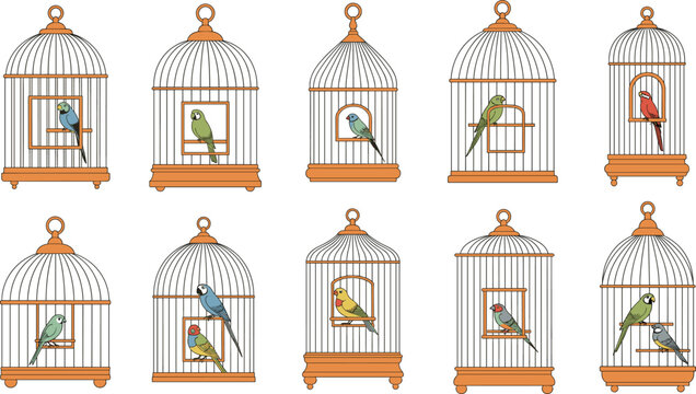 Large collection of classic bird cages with colorful parrots and parakeets for pet shop branding interior home decoration and avian domestic wildlife illustration design