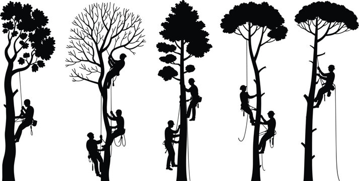 Arborist Silhouette Set Tree Climber Working with Ropes and Safety Gear for Forest Service Lumberjack Woodcutter Industry Isolated Vector Illustration