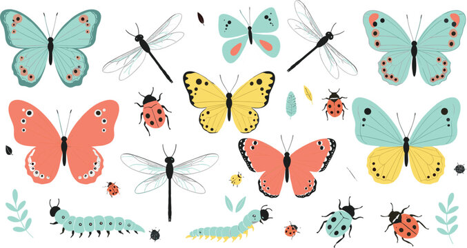 Large collection of hand drawn colorful butterfly dragonfly ladybug and caterpillar vector icons for spring nature education garden wildlife and decorative pattern design