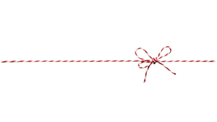 Red Twine Decorative Line with Bow PNG Transparent Background