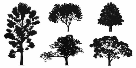 Fototapeta premium Silhouette collection of various tree types against a plain white background