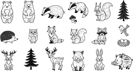 Whimsical Forest Animals Illustration Set for Kids Coloring