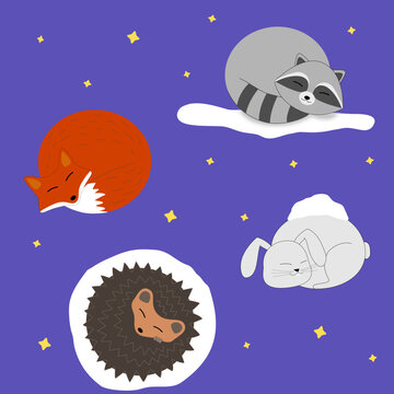 Cute sleeping animals in snow